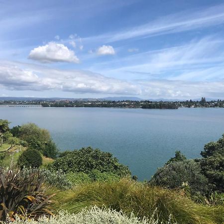 Water & City Lights Studio Tauranga Exteriör bild