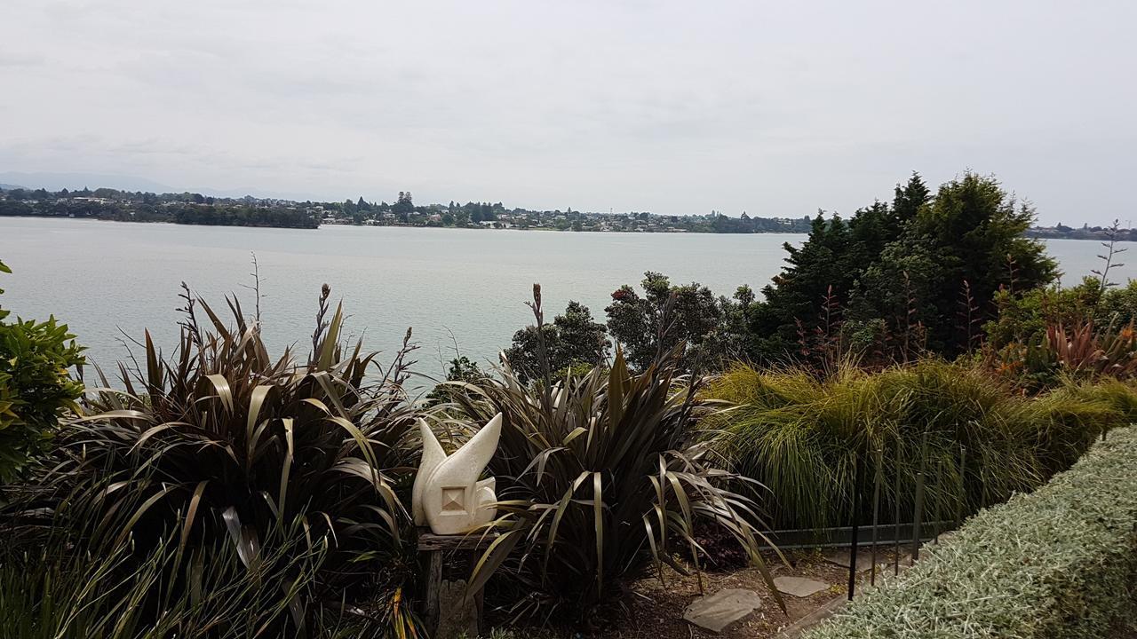 Water & City Lights Studio Tauranga Exteriör bild